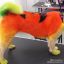 Оранжевая краска для животных Opawz Dog Hair Dye Ardent Orange 150 мл