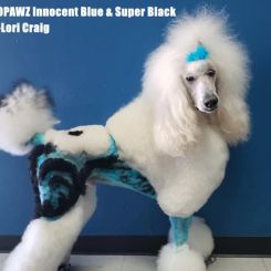 Краска для шерсти Opawz Dog Hair Dye Innocent Blue 120 мл артикул OW01-DHD05 фото, цена gr_18347-03, фото 3
