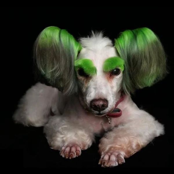 Зеленая краска для животных Opawz Dog Hair Dye Profound Green 150 мл.