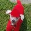 Все фото Красная краска для шерсти Opawz Dog Hair Dye Hot Red 117 г. - 2