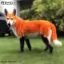 Оранжевая краска для шерсти Opawz Dog Hair Dye Ardent Orange 117 г. - 2
