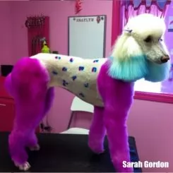 Фото Рожева фарба для тварин Opawz Dog Hair Dye Adorable Pink 117 г. - 2