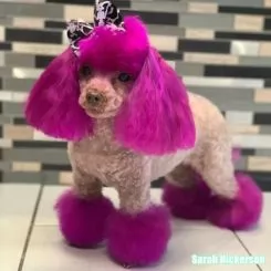 Фото Рожева фарба для тварин Opawz Dog Hair Dye Adorable Pink 117 г. - 3