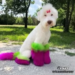 Фото Рожева фарба для тварин Opawz Dog Hair Dye Adorable Pink 117 г. - 7