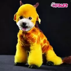 Фото Краска для шерсти Opawz Dog Hair Dye Glorious Yellow 120 мл - 2