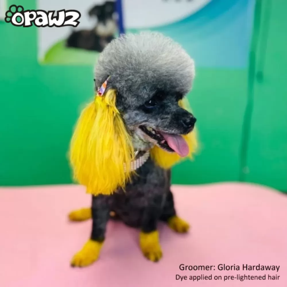 Желтая краска для шерсти Opawz Dog Hair Dye Glorious Yellow 117 г. - 4