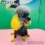 Видео обзор на Желтая краска для шерсти Opawz Dog Hair Dye Glorious Yellow 117 г. - 4