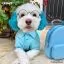Видео обзор на Голубая краска для шерсти Opawz Dog Hair Dye Innocent Blue 117 г. - 2