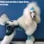 Видео обзор на Голубая краска для шерсти Opawz Dog Hair Dye Innocent Blue 117 г. - 3