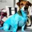 Голубая краска для шерсти Opawz Dog Hair Dye Innocent Blue 117 г. - 6