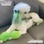 Все фото Светло-зеленая краска для шерсти Opawz Dog Hair Dye Tender Green 117 г. - 6