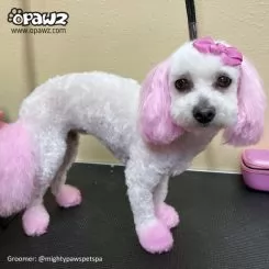 Фото Світло-рожева фарба для тварин Opawz Dog Hair Dye Chram Pink 117 г. - 4