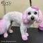 Відео огляд на Світло-рожева фарба для тварин Opawz Dog Hair Dye Chram Pink 117 г. - 4