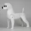 Навчальний манекен собаки: Бішон Opawz BMD-01