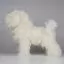 Видео обзор на Учебный манекен собаки: Бишон Opawz BMD-01 - 6