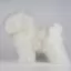 Відео огляд на Навчальний манекен собаки: Бішон Opawz BMD-01 - 7