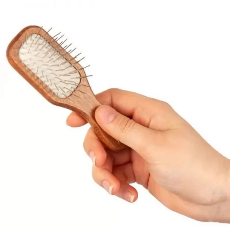 Фото Щітка для маленьких собак Mini Wooden Pin Brush 12 см - 3