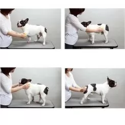 Фото Силиконовая щетка для короткой шерсти Doggy Man Honey Smile размер 10х6,5 см. - 4
