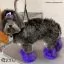 Відео огляд на Фарба для тварин Opawz Dog Hair Dye Indigo Purple 117 г. - 3