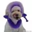 Видео обзор на Краска для животных Opawz Dog Hair Dye Indigo Purple 117 г. - 4