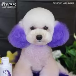 Фото Краска для животных Opawz Dog Hair Dye Chic Violet 117 г. - 2