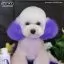 Видео обзор на Краска для животных Opawz Dog Hair Dye Chic Violet 117 г. - 2
