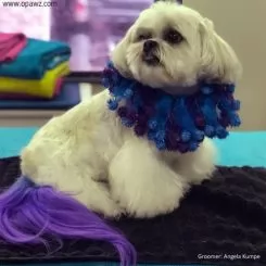 Фото Краска для животных Opawz Dog Hair Dye Chic Violet 117 г. - 6