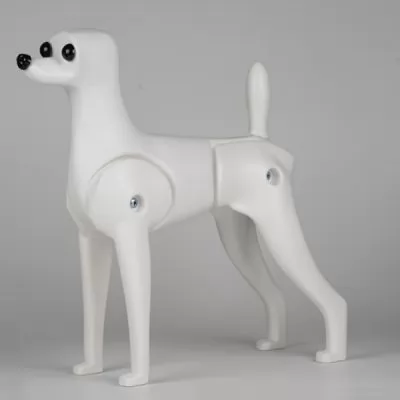 З Навчальний манекен Той-пуделя Opawz Model Dog Teddy Bear MD-03 купують: