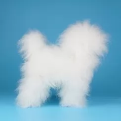 Фото Перука для тіла манекена собаки Opawz Model Dog Teddy Bear MD01 - білий Той-пудель - 1