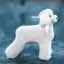 Запчасти на Парик для тела манекена Opawz Model Dog Teddy Bear MD01 - белый Той-пудель - 2