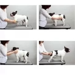 Фото Силіконова щітка для короткої шерсті Doggy Man Rubber Brush 7,5 х4 см. - 6
