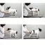 Все фото Силиконовая щетка для короткой шерсти Doggy Man Rubber Brush 7,5х4 см. - 6