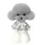 Шерсть манекена голови для Mr Jiang Teddy Head Model Grey - 1