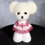 Шерсть манекена головы для Mr Jiang Teddy Head Model Prick Eared Style White - 1