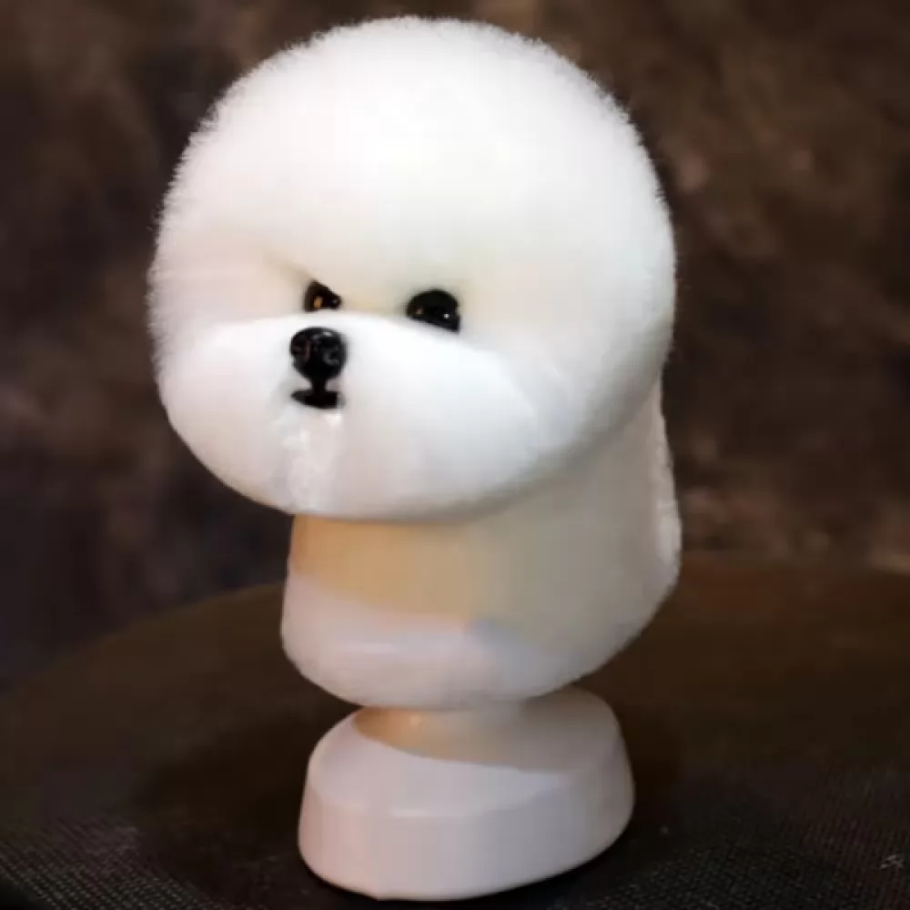 Шерсть манекена голови для Mr Jiang Bichon Head White