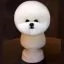 Шерсть манекена головы для Mr Jiang Bichon Head White - 2