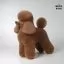 Характеристики Шерсть всього тіла для манекена Mr Jiang Toy Poodle Model Brown - 1