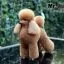 Шерсть всего тела для манекена Mr Jiang Toy Poodle Model Brown - 2