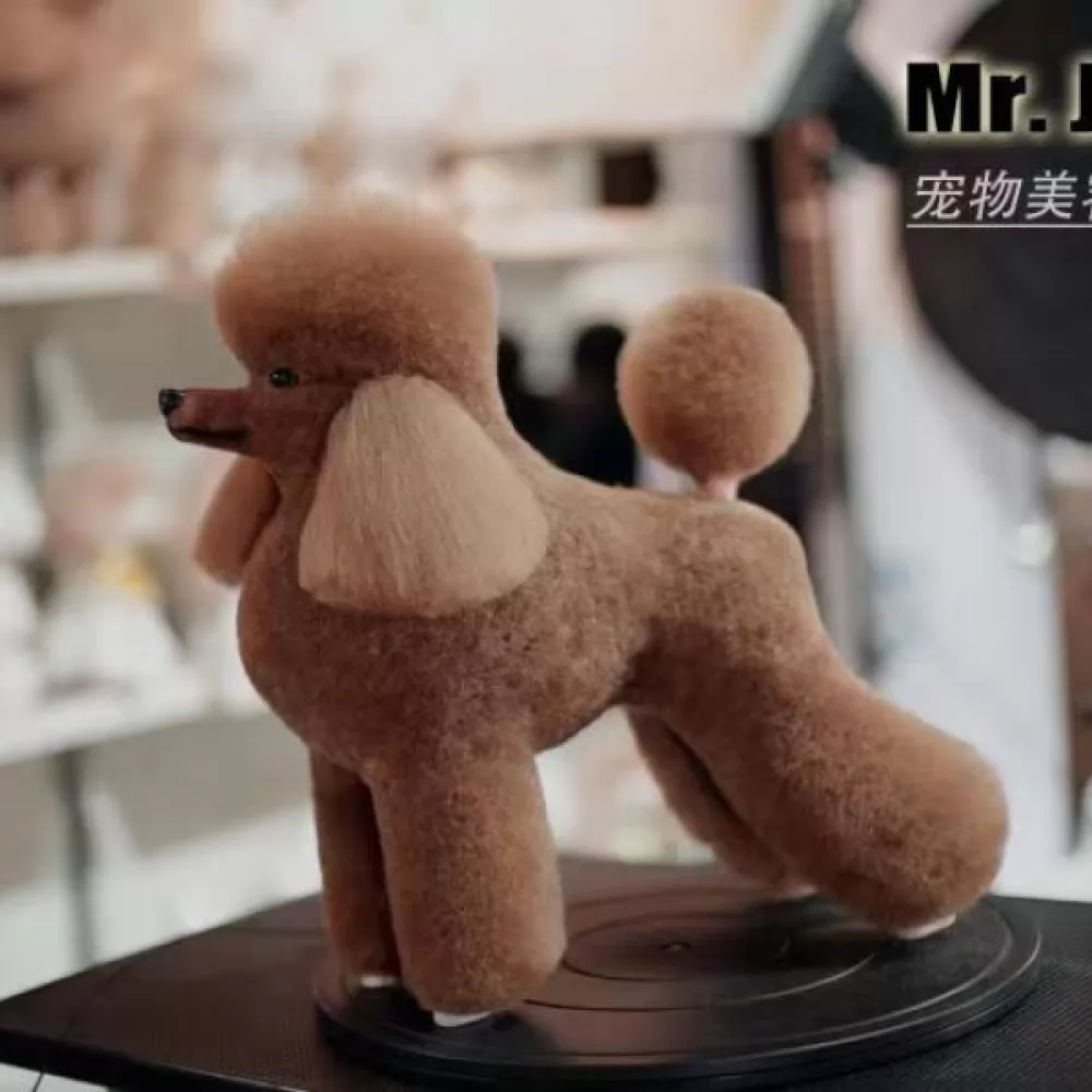 Відгуки на Шерсть всього тіла для манекена Mr Jiang Toy Poodle Model Brown - 3