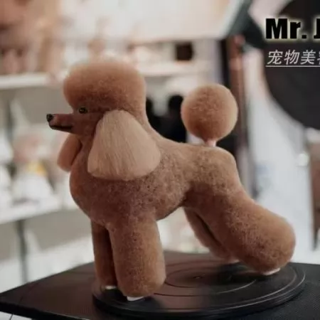 Фото Шерсть всього тіла для манекена Mr Jiang Toy Poodle Model Brown - 3