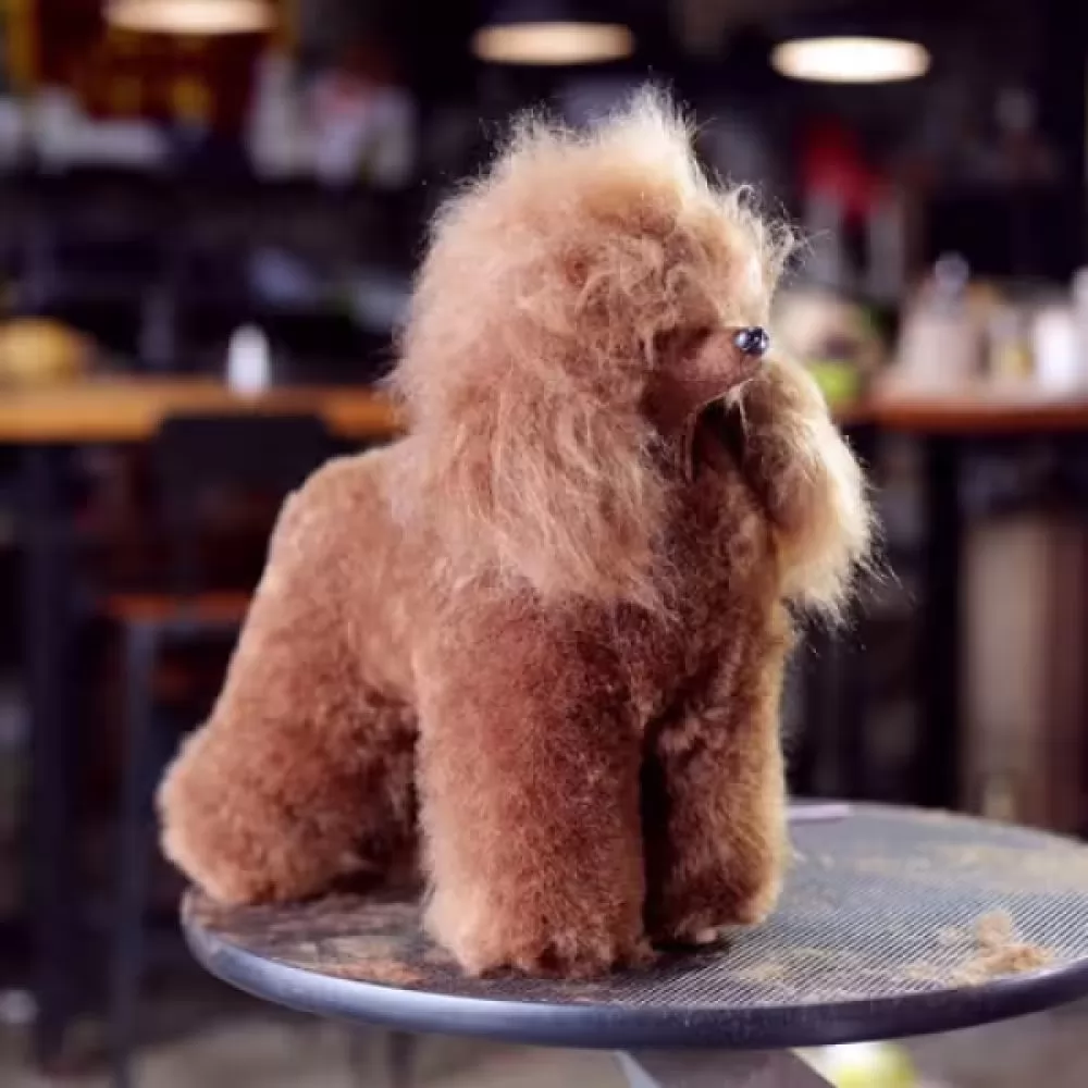 Информация о сервисе на Шерсть всего тела для манекена Mr Jiang Toy Poodle Model Brown - 4