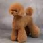 Відгуки на Шерсть всього тіла для манекена Mr Jiang Toy Poodle Model Brownish Red - 1