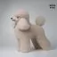 Отзывы на Шерсть всего тела для манекена Mr Jiang Toy Poodle Model Milk Tea - 1