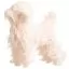 Характеристики Шерсть всего тела для манекена Mr Jiang Toy Poodle Model Creamy White - 3