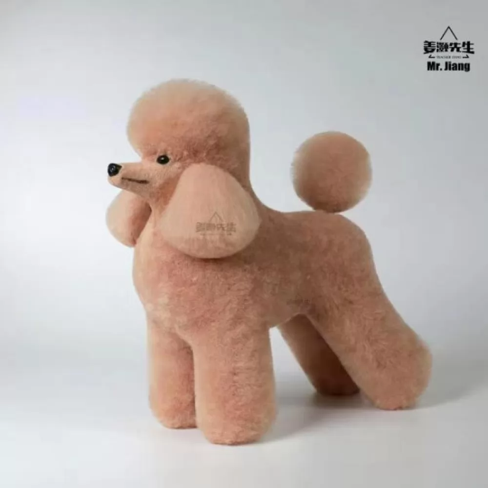 Шерсть всего тела для модель дога Mr Jiang Toy Poodle Model Champange