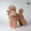 Відгуки на Шерсть всього тіла для манекена Mr Jiang Toy Poodle Model Champange - 1