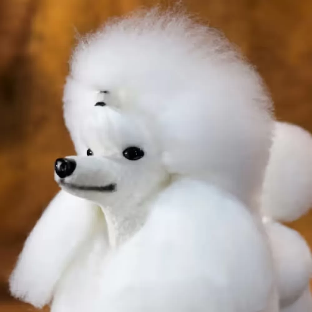 З Шерсть всього тіла для манекена Mr Jiang Poodle Model Extra Long White купують: - 3